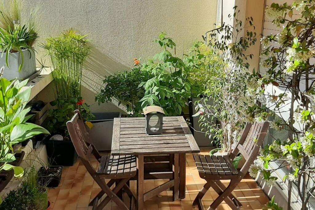 Appartement Le Monspetellarius *